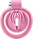 Button Lock Pussy Sissy Chastity Cock Cage Pink