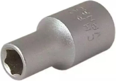 Dedra Nuss mit Vierkant-Antrieb 1/4" Durchmesser 1/4" / 5 1Stück