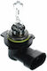 Ford Lamps Car HIR2-9012 Halogen 12V 55W 1pcs