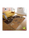 Αντιολισθητικό Χαλί Ορθογώνιο Brown 70x100cm