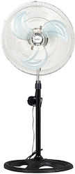 Sang Ventilator Pe Piedestal Negru Sang Ventilator Pe Piedestal Negru