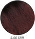 Wild Color Hair Dye Without Ammonia 5.66 5rr 180ml
