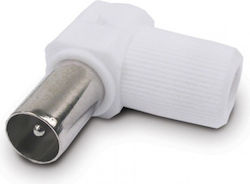 Engel Φις Tv Männlich Γωνία Blister Mp0561c