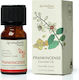 Φυσικό Αιθέριο Έλαιο Λιβάνι Frankincense Natural Essential Oil 10ml