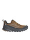 adidas Terrex Trailmaker 2 Men's Hiking Shoes Waterproof with Gore-Tex Membrane Brown