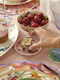 Maxwell & Williams White Porcelain Dinnerware Set 12pcs