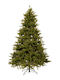 Weihnachtsbaum Evergreen 210cm mit 2786 Zweige