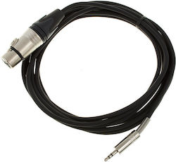 Pro Snake XLR-Stecker - 3,5 mm Stecker