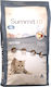Summit10 Dry Cat Food Fresh Chicken Kittens 2kg
