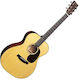 Martin Acoustic Guitar Standard Series