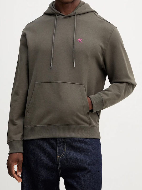 Calvin Klein Sweatshirt with Hood BELUGA