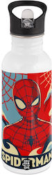 Koupakoupa Метален Spiderman