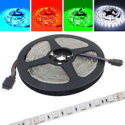 Masterled LED-Streifen 12V mit RGB Licht 5m Masterled LED-Streifen 12V mit RGB Licht 5m