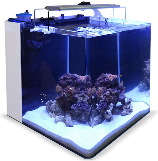 Blau Aquaristic Aquarium All In One Fisch-Aquarium mit Kapazität von 91Es mit 45x45x45cm Weiß