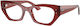 Ray Ban Rx7330 Zena 8436