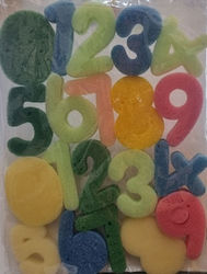 Luna Numbers 6cm Sponge Stamps 20 Pieces