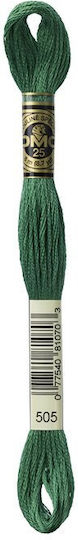 Fire Broderie Mouline Dmc 117 505 Verde