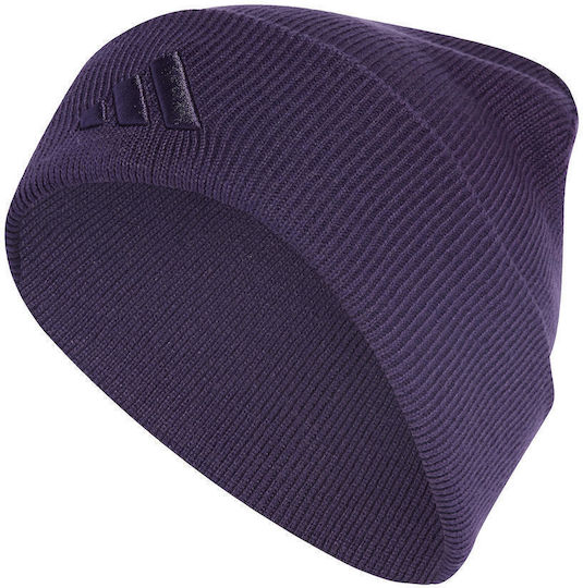 Performance Beanie Beanie Knitted in Purple color