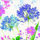 Party-Servietten Blumen Blau Lila Helltürkis 33...