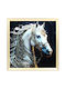 Wall Painting 40x40 with Frame Embossed Strass Keskor 24040-32