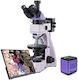 Magus Polarizing / Digital Trinocular Microscope USB