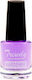 Trendy Color Cosmetics Nail Hardener