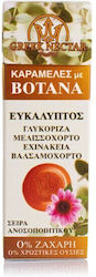 Greek Nectar Καραμέλες Bio 30gr