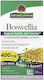 Nature's Answer Boswellia 400мг 250гр 90 вегетариански капсули