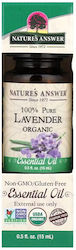 Nature's Answer Βιολογικό Αιθέριο Έλαιο Λεβάντα 15ml Nature's Answer Βιολογικό Αιθέριο Έλαιο Λεβάντα 15ml