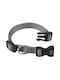 Ferplast Dog Collar Gray Club C10/32 A 23-32 Cm B 10 Mm Ferplast 2070625