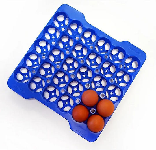 Satz 4 Stück Tabletts Lagerung 30 Eier Gn 2/3 290x290x40mm 73056 Araven