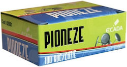 Nickel-plated Push Pins Box 100 Pieces