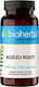 Bioherba Kudzu Root 350мг 100 капси