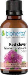 Bioherba Tinktur Roter Klee 50ml