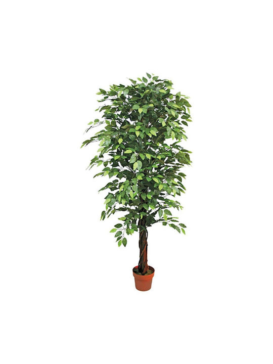 Δεντρο Μπενζαμιν Πρασινο Γλαστρα Y180cm 2/kib 04-10012-1(15126-2 GREEN) 15126-2 Green Δεντρο Μπενζαμιν Πρασινο Γλαστρα Y180cm 2/kib 04-10012-1(15126-2 GREEN) 15126-2 Green