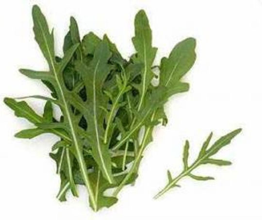 Evotris Σπόροι Ρόκας 10gr