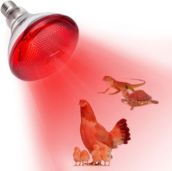 Animalamp Infrared Θερμαντική Λάμπα Κοτοπουλάκια E27 220 V