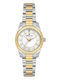 Daniel Klein Herrenuhr Batterie mit Gold Rostfreier Stahl Armband