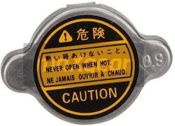 Τάπες Ψυγείου Νερού Nissan Juke Micra Note Μπλε Bluebird Sylphy Mitsubishi L300 Pajero Mazda Rx-8 Infiniti Q60 280298-10734