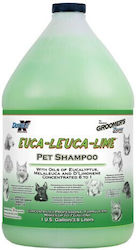 Euca-Leuca-Limette 3.8l Double K Hundeshampoos ...