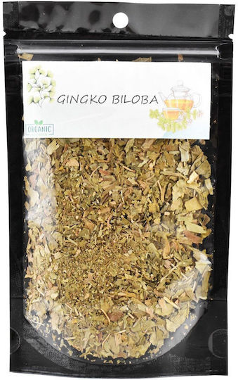Γκίνγκο Μπιλόμπα Ginkgo Biloba Ι.μ Τιμίου Προδρόμου Βομβοκούς