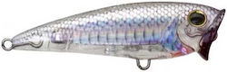 Yo-Zuri 3d Inshore Popper 9εκ./24gr Yo-Zuri 3d Inshore Popper 9εκ./24gr