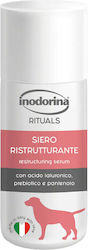Inodorina Repair Serum Ορός Ανάπλασης Τριχώματος 30ml Inodorina Inodorina Repair Serum Ορός Ανάπλασης Τριχώματος 30ml Inodorina