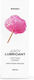 Satisfyer Lubricant Λιπαντικό 300ml