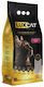Bentonit Katzenstreu mit Duft Babypuder 10Es