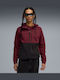 Sweatshirt with Hood Burgundy