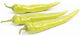 Geoponiki Seeds Peppers Cayenna 10pcs