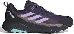 adidas Terrex Anylander Дамски Планински Обувки Лилави adidas Terrex Anylander Дамски Планински Обувки Лилави
