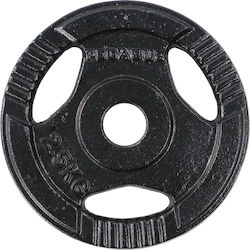 Pegasus Δίσκος Μεταλλικός 1 x 2.5kg Φ29mm Pegasus Δίσκος Μεταλλικός 1 x 2.5kg Φ29mm