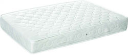 Comfort Strom Single 100x190x21cm cu arcuri Comfort Strom Single 100x190x21cm cu arcuri